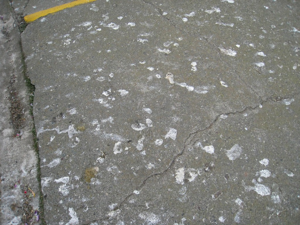 2011 Bay 2 Breakers Saturday 0775.JPG - I was able to participate in the 2011, 100th anniversary of the San Francisco Bay to Breakers 12K race. A great weekend for sight seeing and racing.